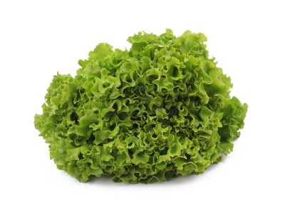 Салат романо 1 кг - купить в Дмитриевке